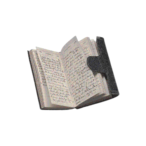 Livro WIP